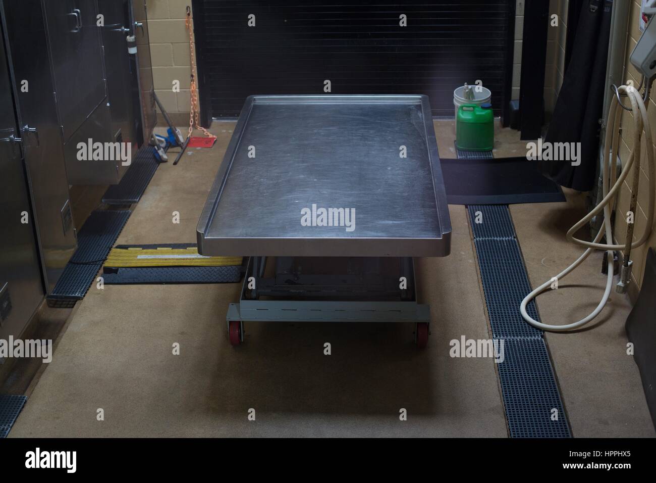 A table used for autopsies at the Marine Mammal Center in the Marin Headlands, California, USA. Stock Photo