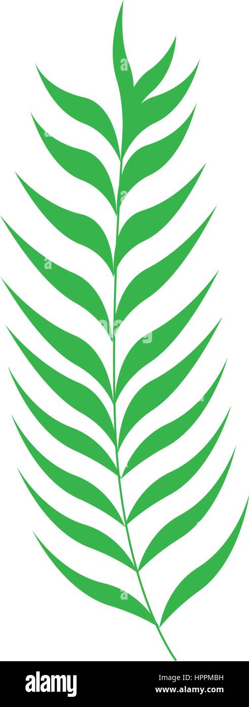 green stem with many leaves Stock Vector