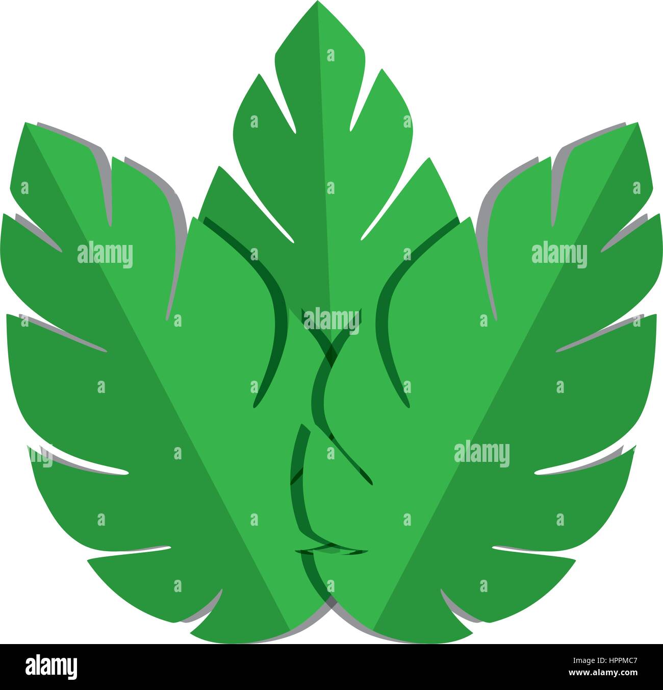 Silhouette ramification leaves nature hi-res stock photography and ...