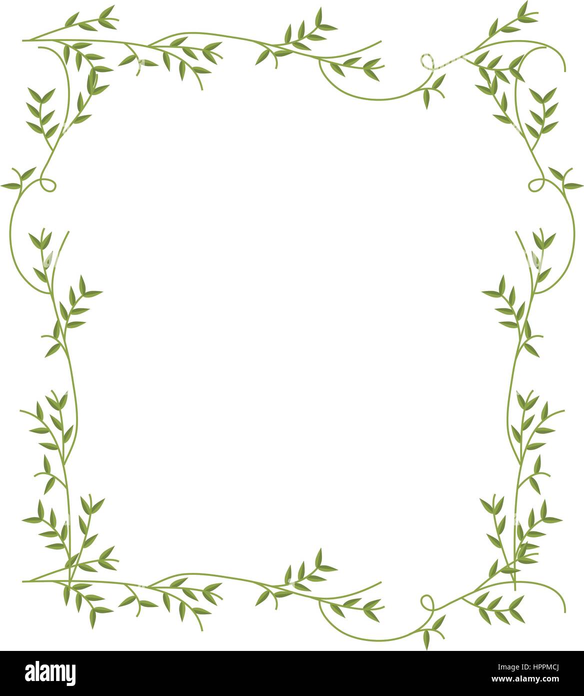 frame with green creepers nature design Stock Vector Image & Art - Alamy