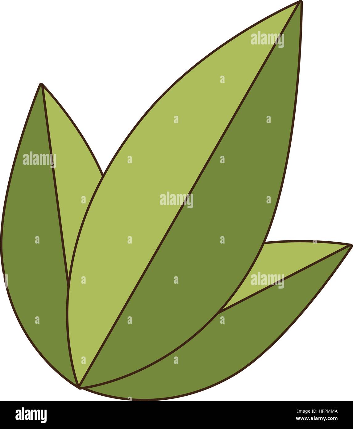set collection green leaves nature plant icon Stock Vector Image & Art ...
