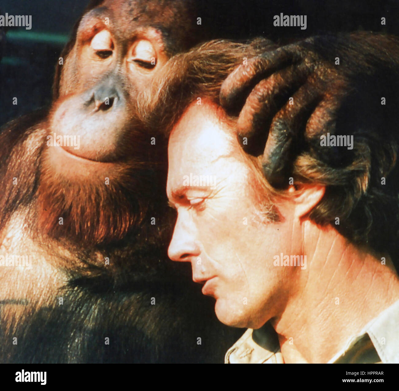 EVERY WHICH WAY BUT LOOSE 1977 Warner Bros film with Clint Eastwood Stock Photo
