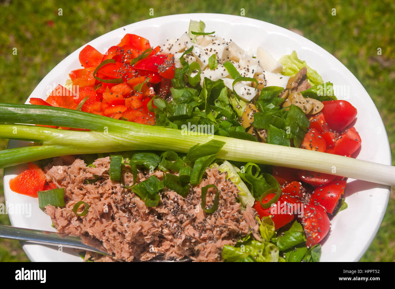 Fresh and tempting tuna salad Stock Photo