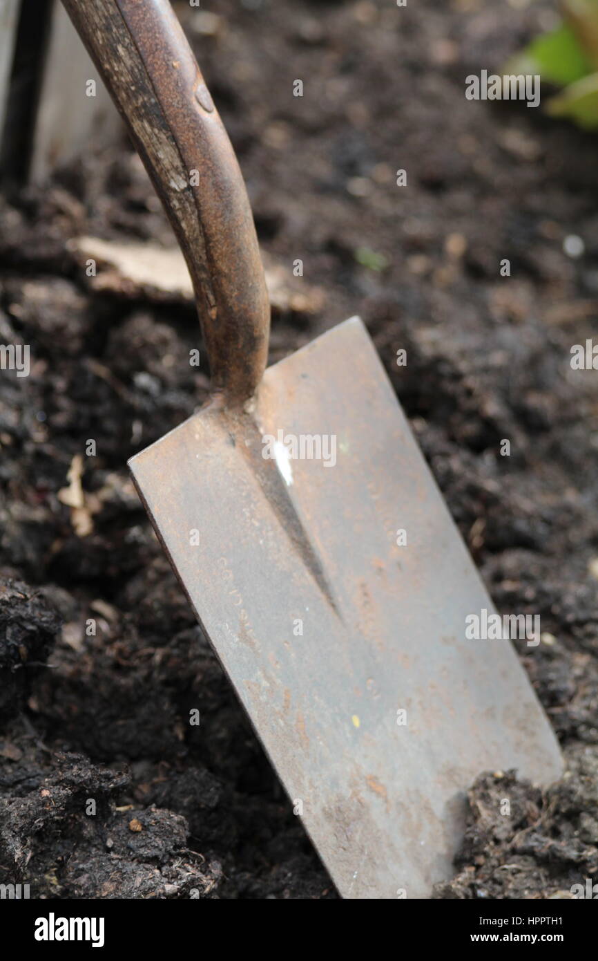Close up of spade digging up soil in the garden Stock Photo