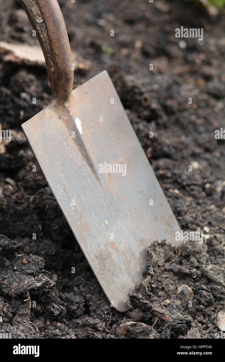 Close up of spade digging up soil in the garden Stock Photo