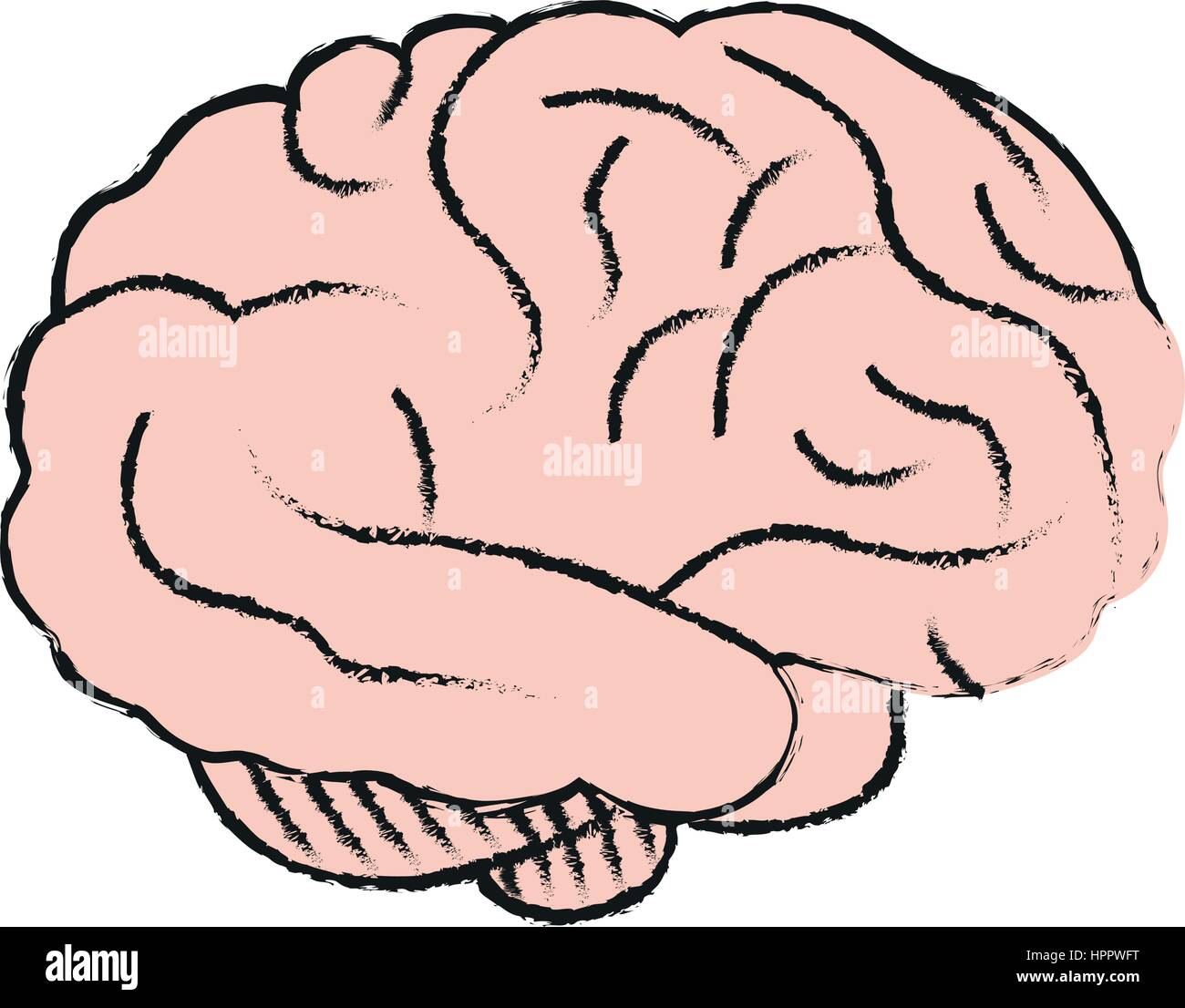 human brain icon image Stock Vector Image & Art - Alamy