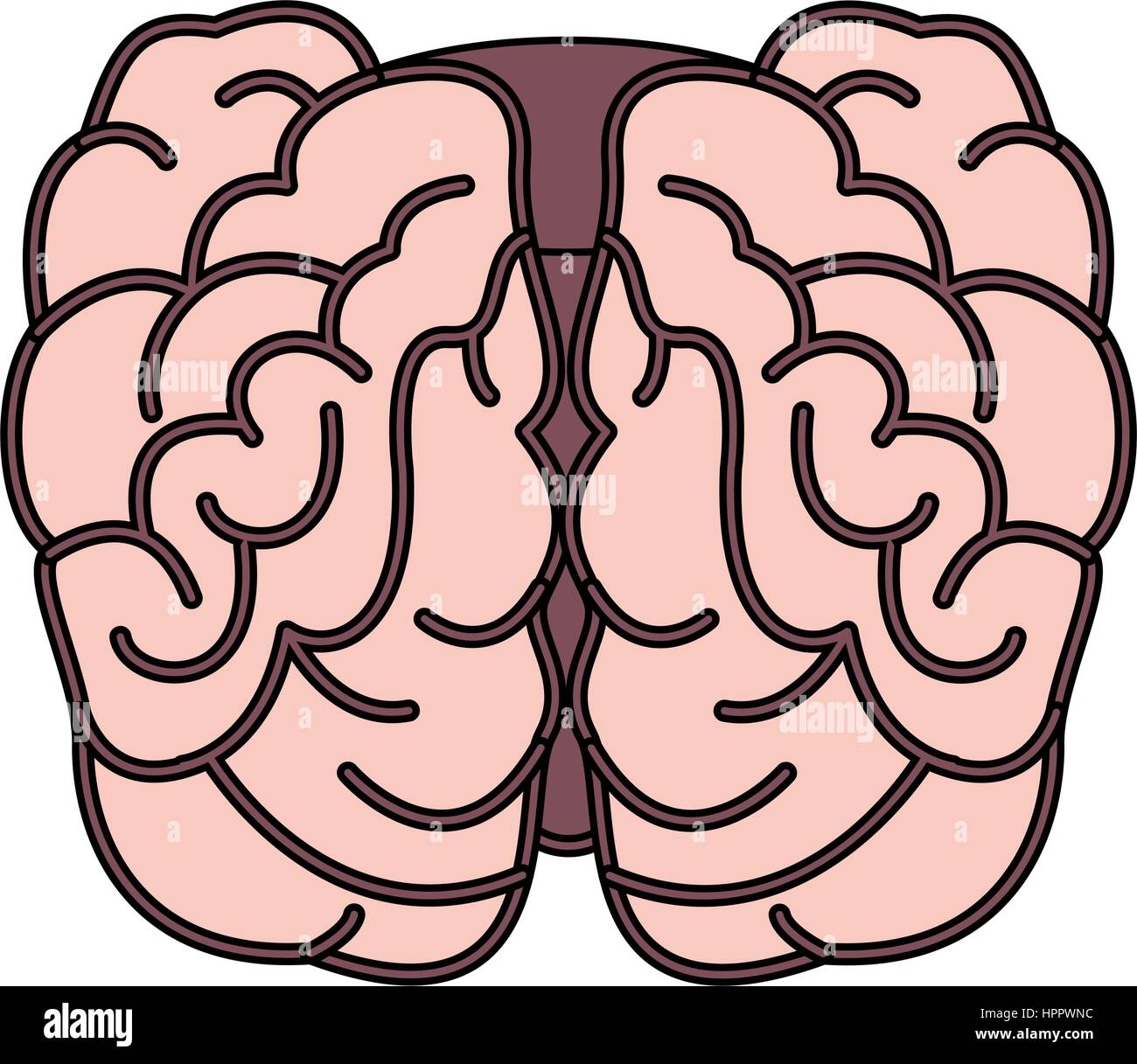 human brain icon image Stock Vector Image & Art - Alamy