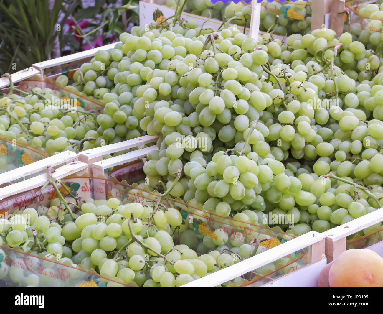 Italy olives calabria not olive hi-res stock photography and images - Alamy