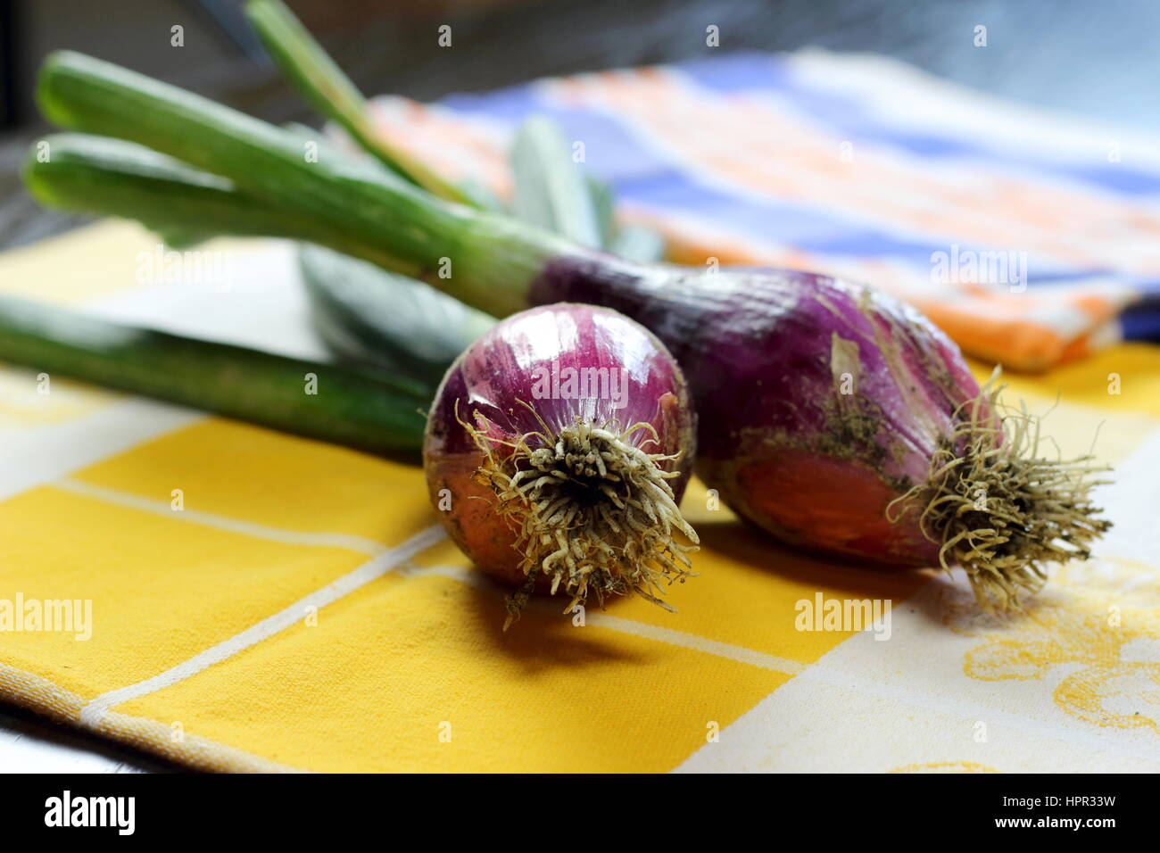 Dark onion hi-res stock photography and images - Alamy