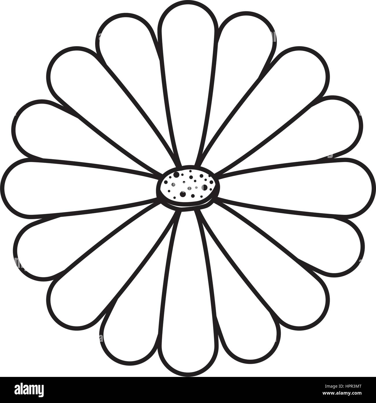 Beautiful flower ornament Stock Vector Image & Art - Alamy