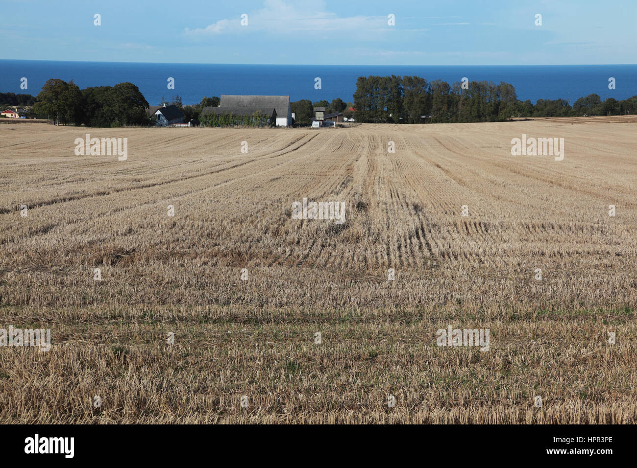 The Baltic Sea seen from agricultural land behind Svaneke, a small town