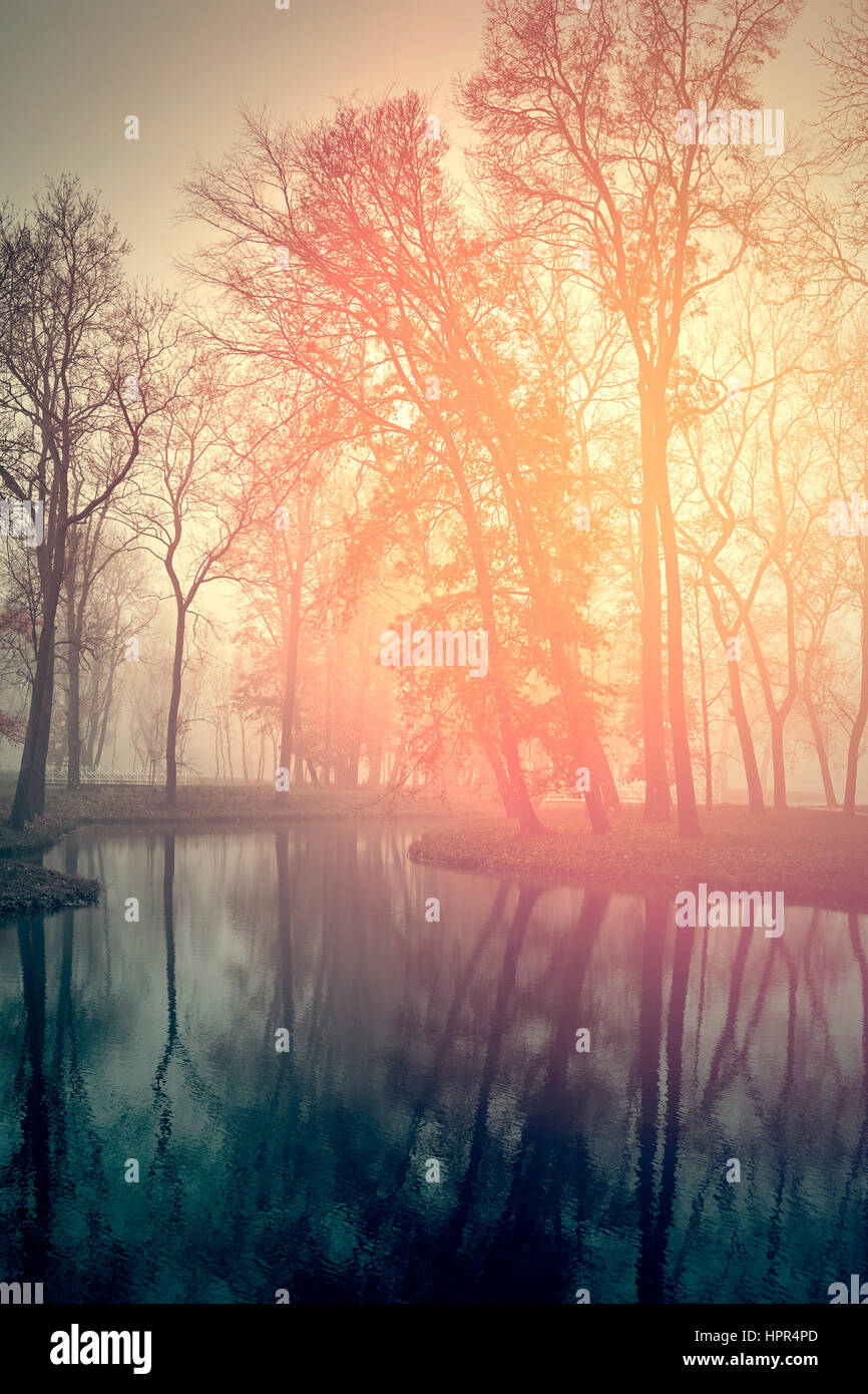 Beautiful autumn forest and lake Stock Photo - Alamy