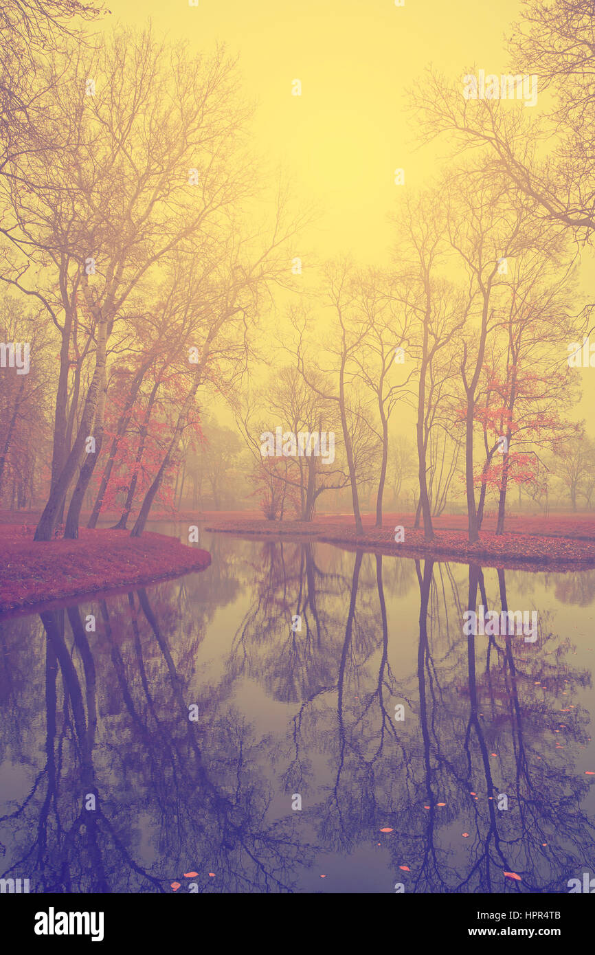 Beautiful autumn forest and lake Stock Photo - Alamy