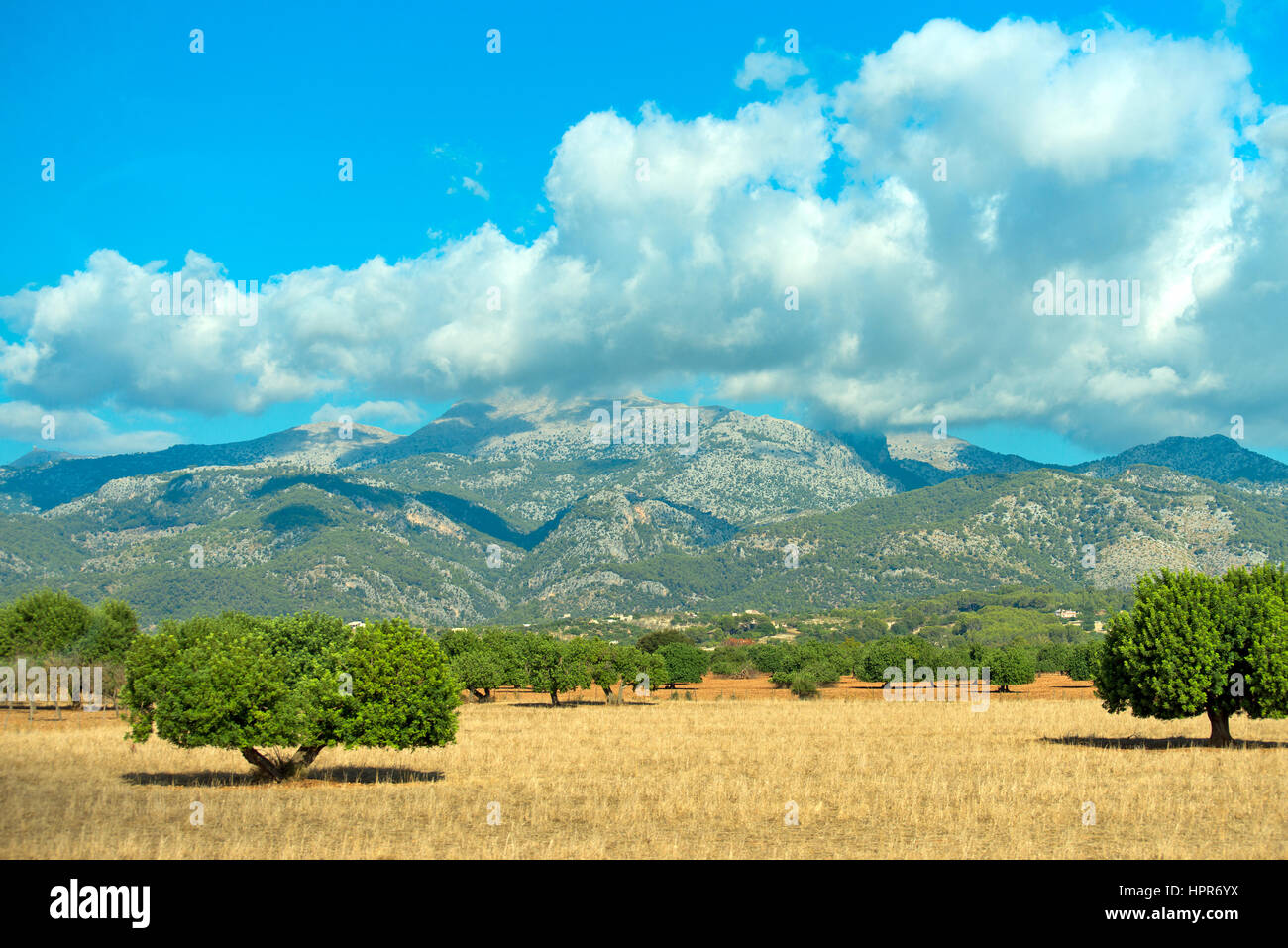 Beautiful sunny meadow with mountains behind Stock Photo - Alamy