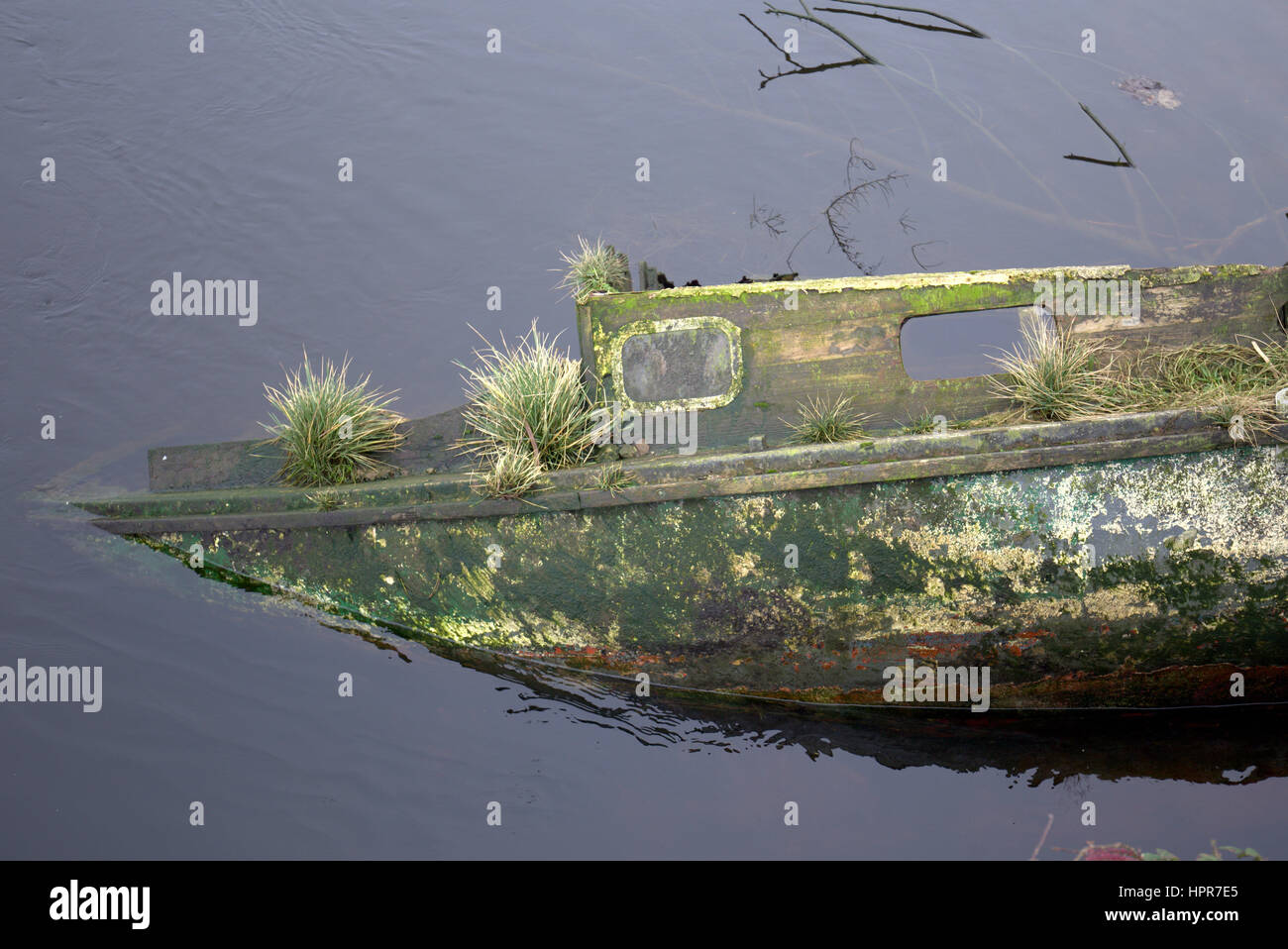 abandoned sunken boat covered in weeds river leven dunbarton Stock Photo