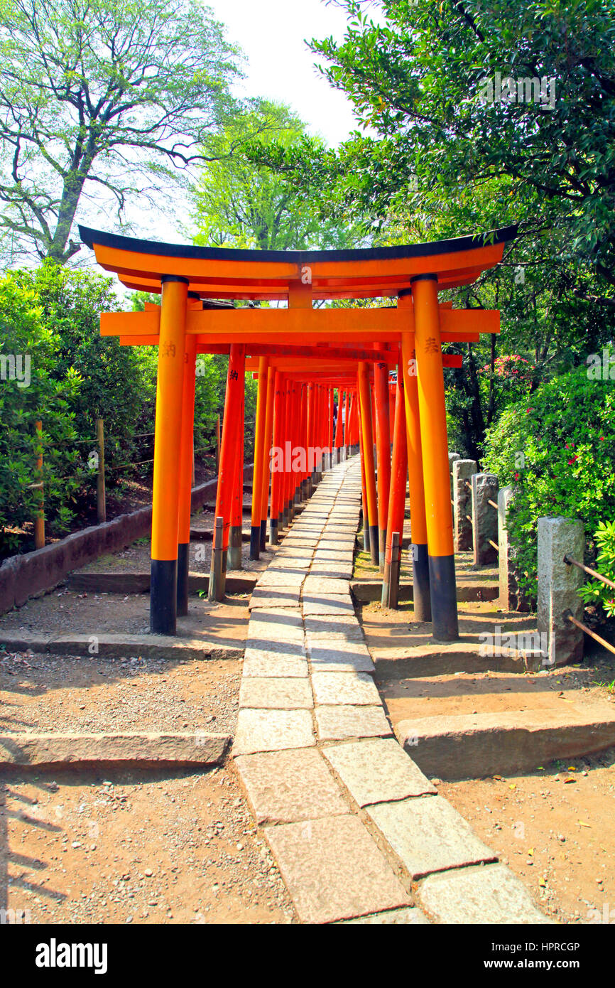 Senbon Torii Gates At Nezu Jinja Shinto Shrine Tokyo Japan Stock Photo