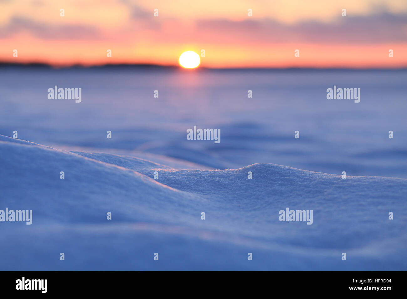 Rising sun illuminate snow. Winter morning landscape. Christmas theme with blured sunny backdrop. Stock Photo