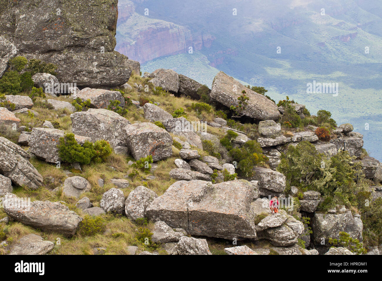 A photographer sets up a tripod for a picture in the picturesque landscape of Mariepskop mountain in South Africa. Stock Photo