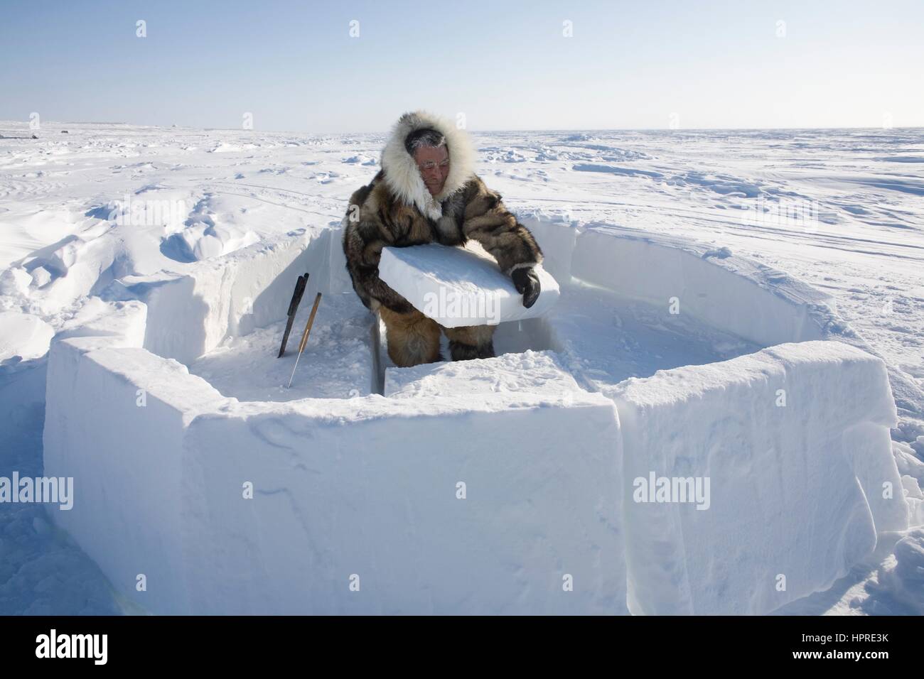 Building an igloo on the northpole Stock Photo - Alamy