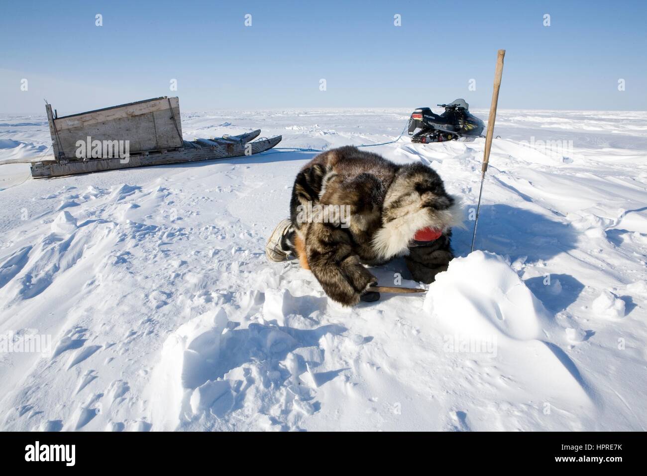 Snowmobile Inuit High Resolution Stock Photography and Images - Alamy