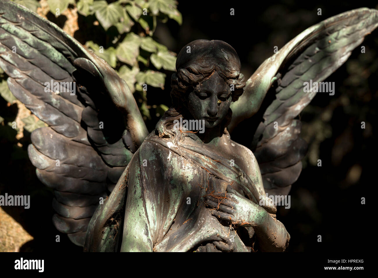Europe, Germany, Cologne, angel at the Melaten cemetery. Stock Photo