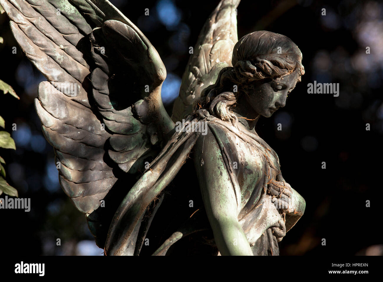 Europe, Germany, Cologne, angel at the Melaten cemetery. Stock Photo