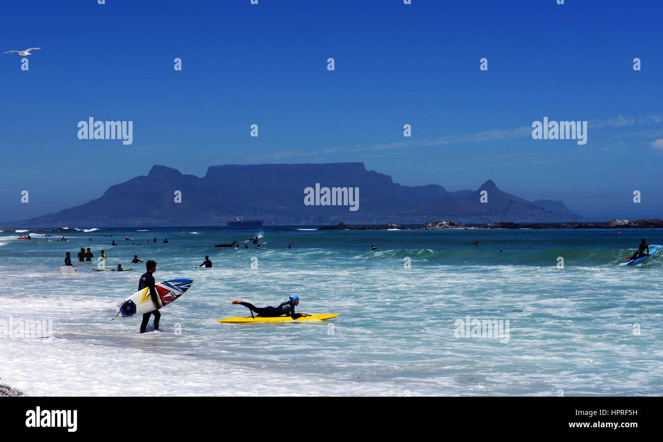Surf shop blouberg outlet