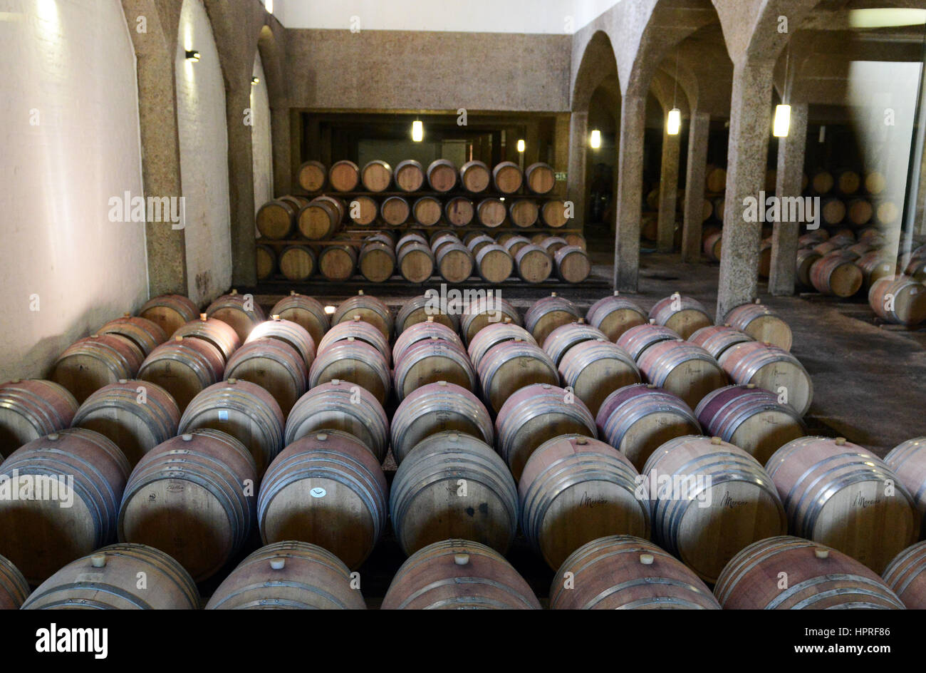 The wine cellars in Durbanville hills winery near Cape Town, South