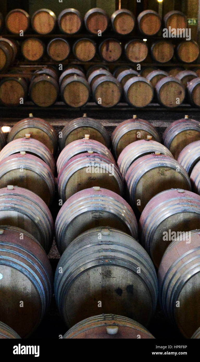 The wine cellars in Durbanville hills winery near Cape Town, South