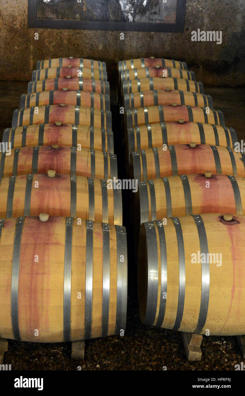 The wine cellars in Durbanville hills winery near Cape Town, South