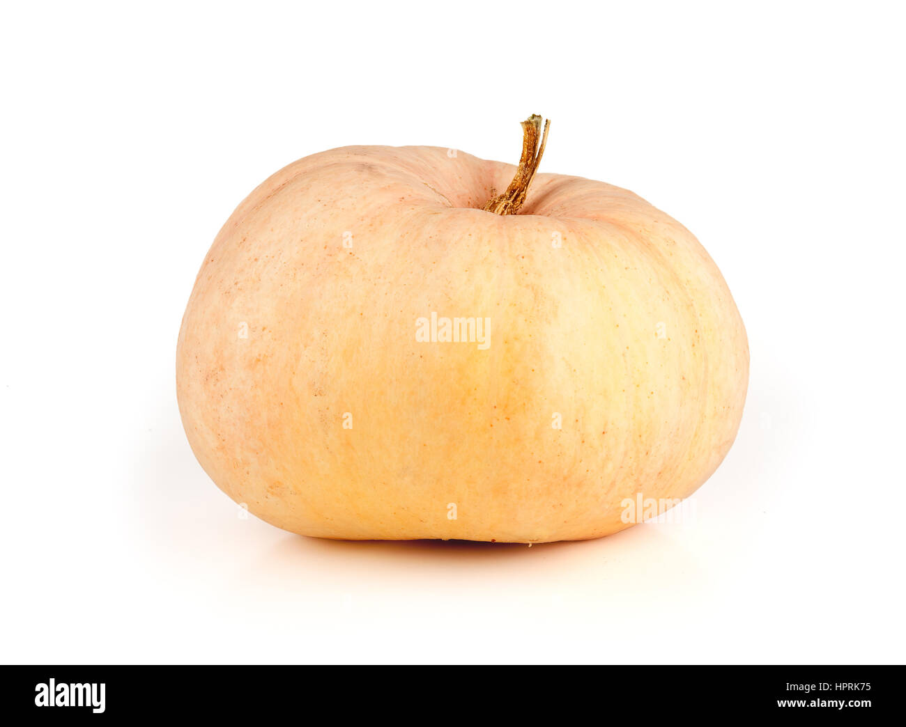 Single fresh pumpkin isolated on white background Stock Photo - Alamy
