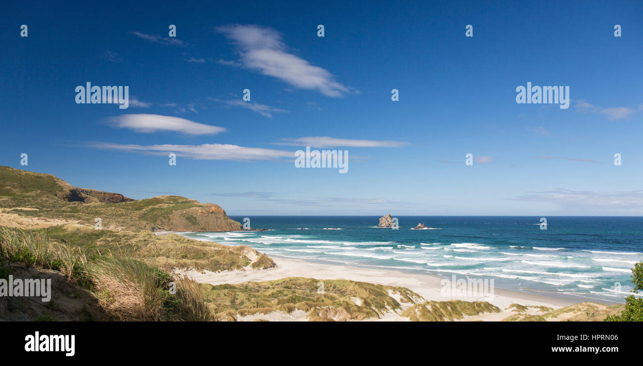 Dunedin, Otago, New Zealand. Panoramic view over Sandfly Bay from dunes
