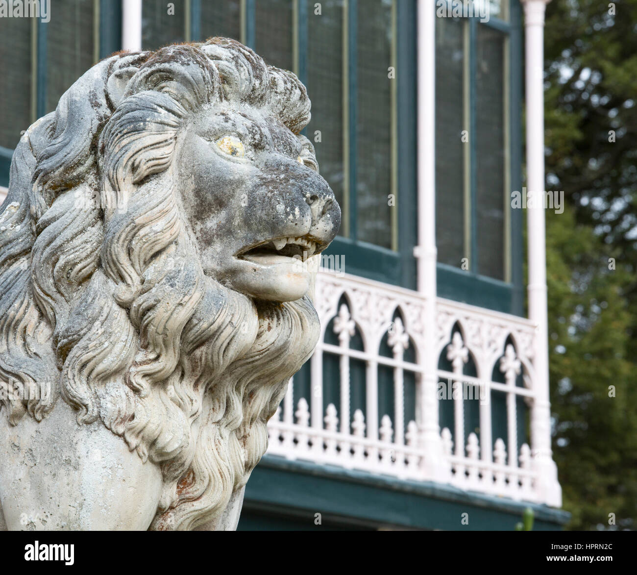 Dunedin, Otago, New Zealand. One of a pair of stone lions standing guard over the main entrance to Larnach Castle, Otago Peninsula. Stock Photo