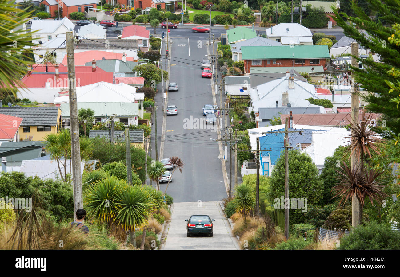 Dunedin, Otago, New Zealand. View from the top of Baldwin Street, the world's steepest residential street. Stock Photo