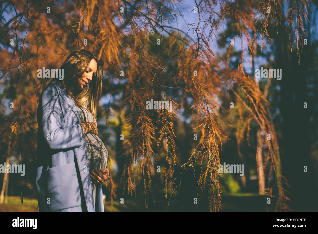 Pregnant woman in the autumn park Stock Photo - Alamy