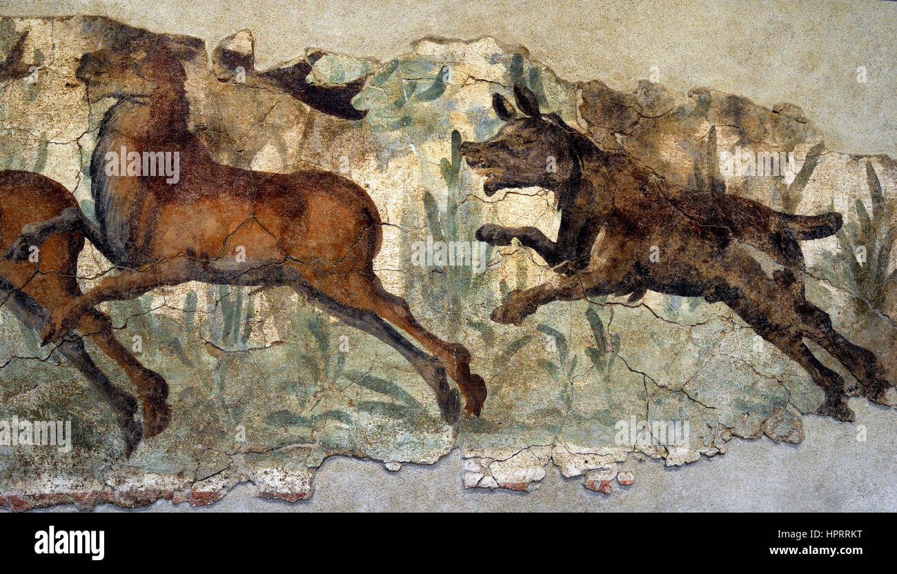 Roman era. Painting. Hunting scene. Dog chasing three deer. Detail. 2nd-3rd century AD. National Archaeological Museum. Tarragona. Catalonia, Spain. Stock Photo