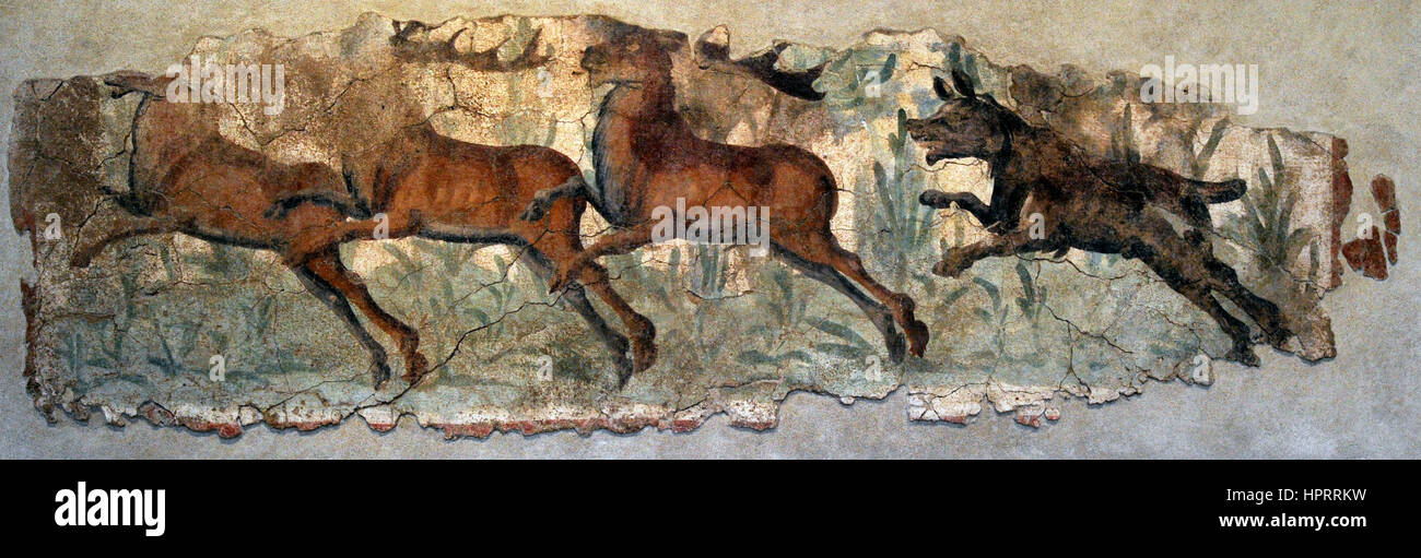 Roman era. Wall painting. Hunting scene. Dog chasing three deer. 2nd-3rd century AD. National Archaeological Museum. Tarragona. Catalonia, Spain. Stock Photo
