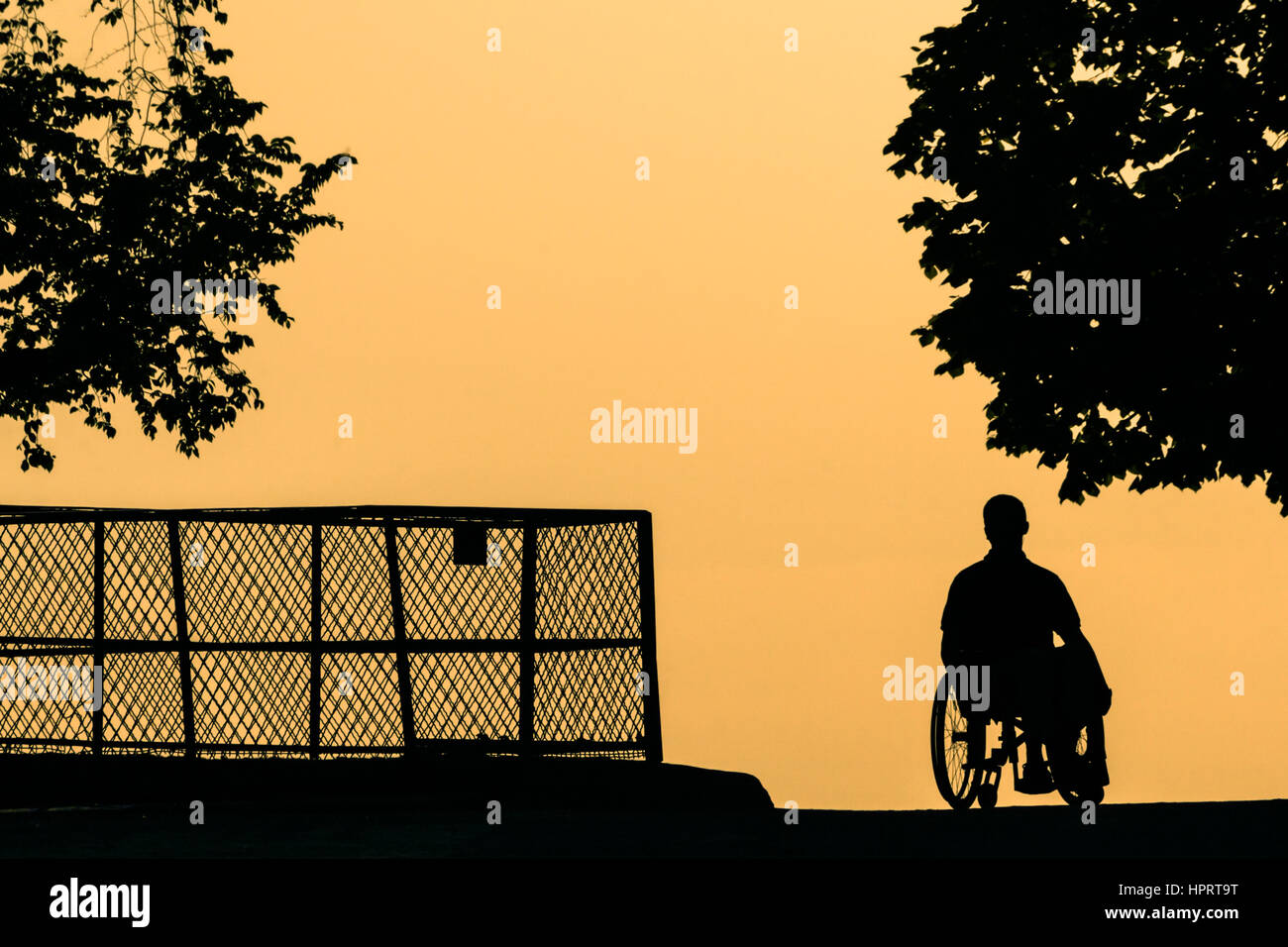 Wheelchair paris disability hires stock photography and images Alamy