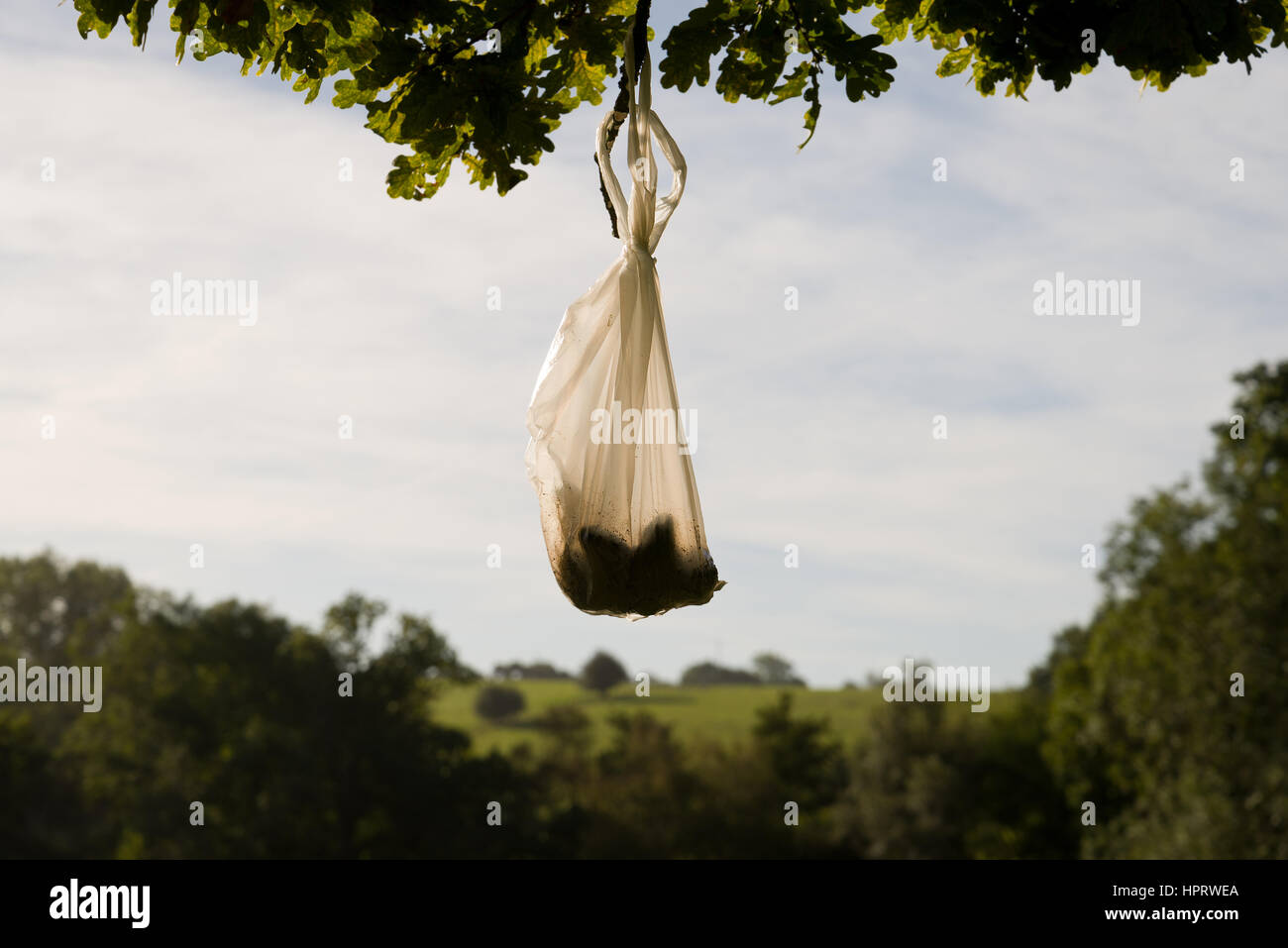 Dog poo bags left hanging, to be collected later. Stock Photo