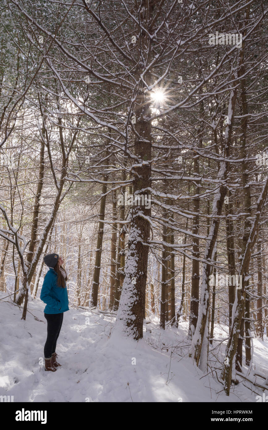 Walking through snowy forest hi-res stock photography and images - Alamy