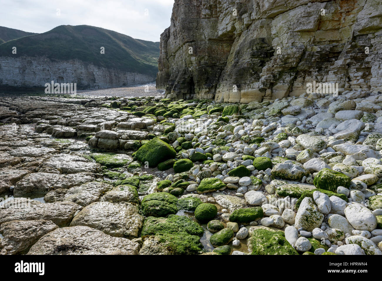 Chalk cliffs at Thornwich bay near Flamborough on the east coast of England. An area of beautiful natural scenery. Stock Photo