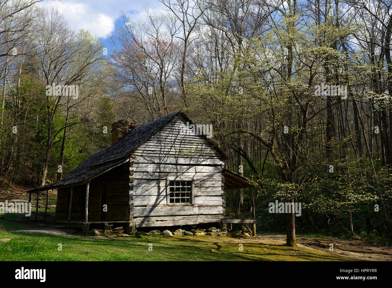 Noah Bud Ogle place, cottage, homestead, house, Roaring Fork Motor Nature Trail, white dogwood, spring, LeConte Creek, Great Smoky Mountain National P Stock Photo