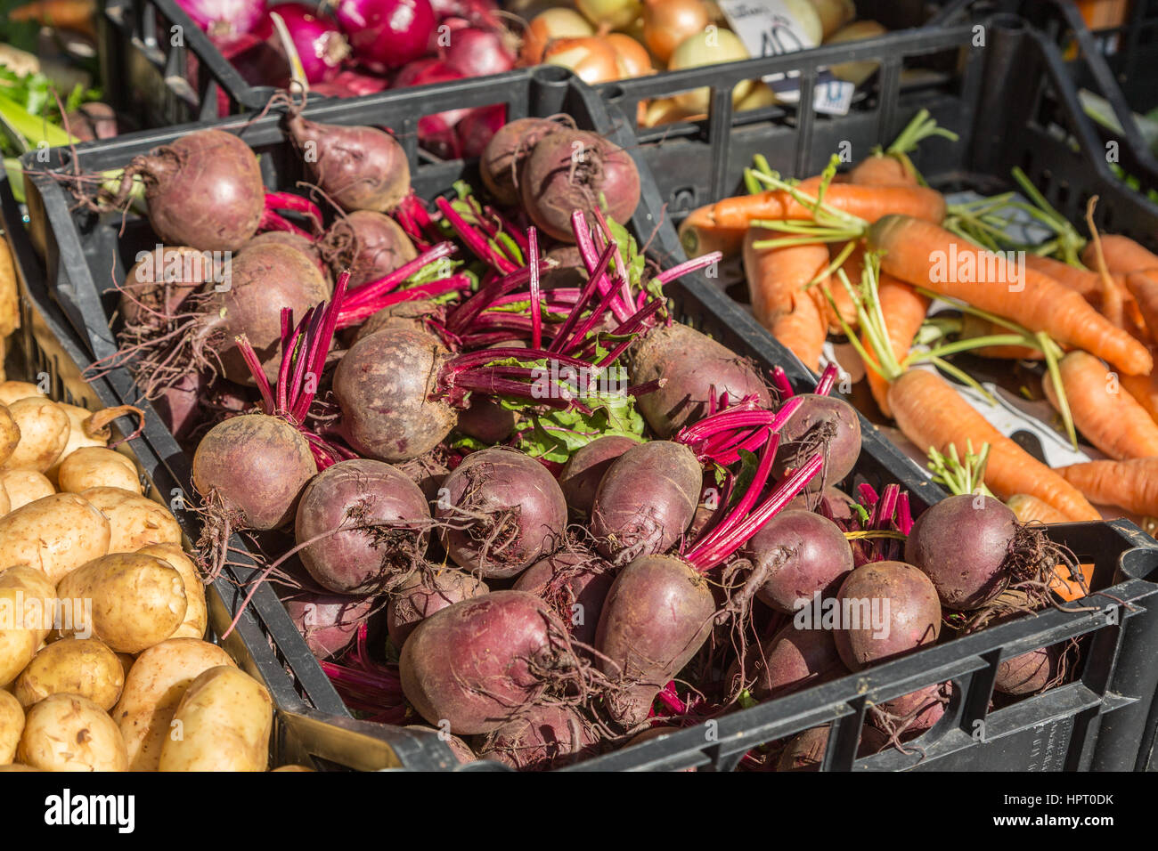 red turnips at market stall, Pula, Croatia Stock Photo