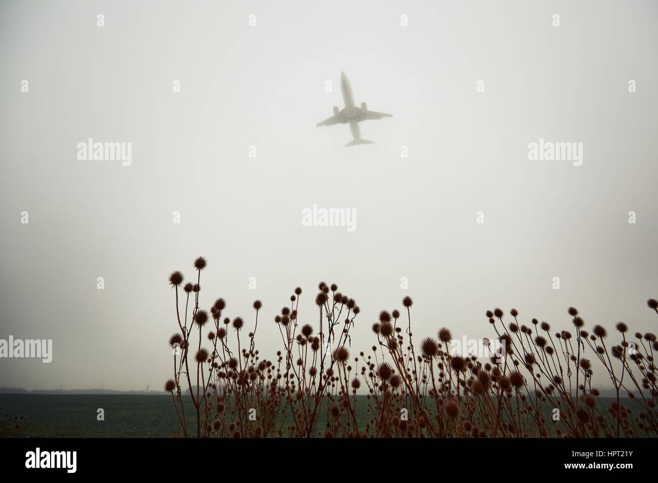 The airplane is landing during bad weather in thick fog Stock Photo