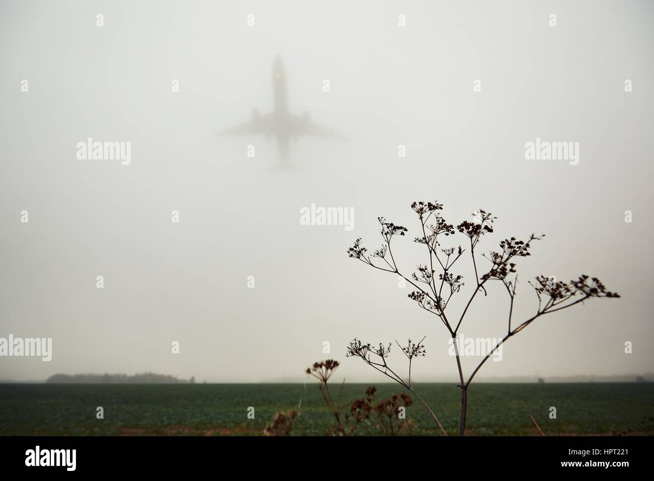 The airplane is landing during bad weather in thick fog Stock Photo