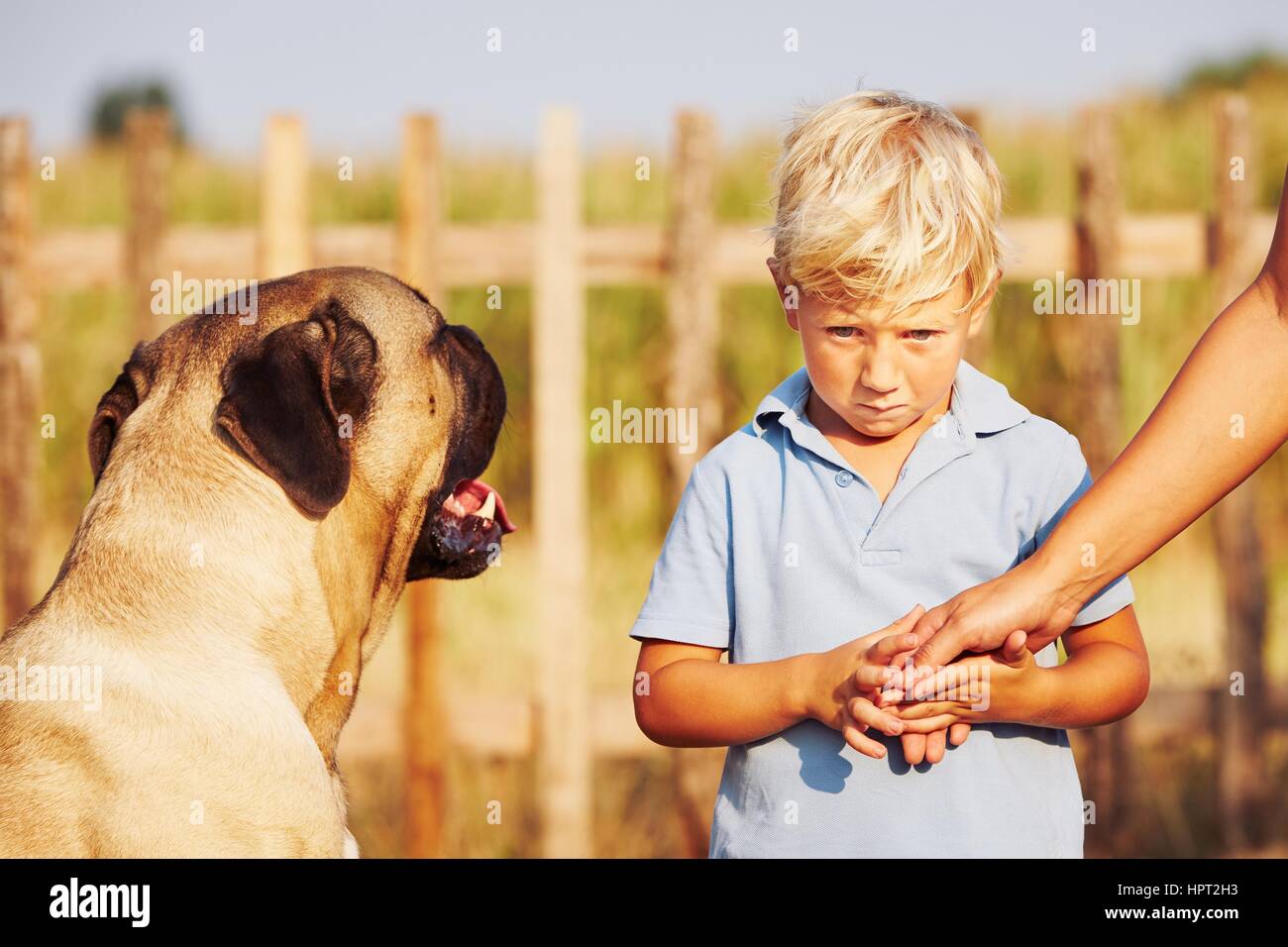 Timid boy is holding of the mother on the garden. Stock Photo