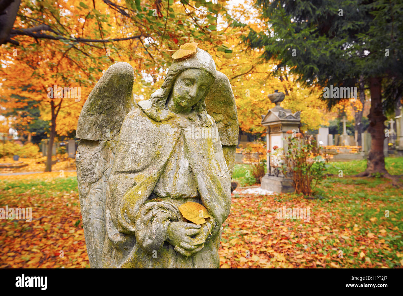 Sad angel statue at old cemetery in autumn Stock Photo