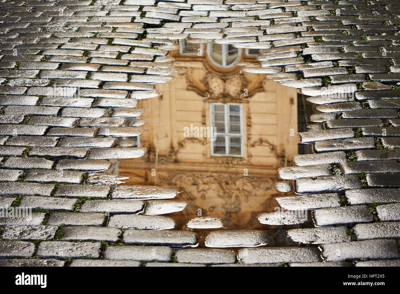 After rain in Prague - reflection of the house in puddle Stock Photo ...