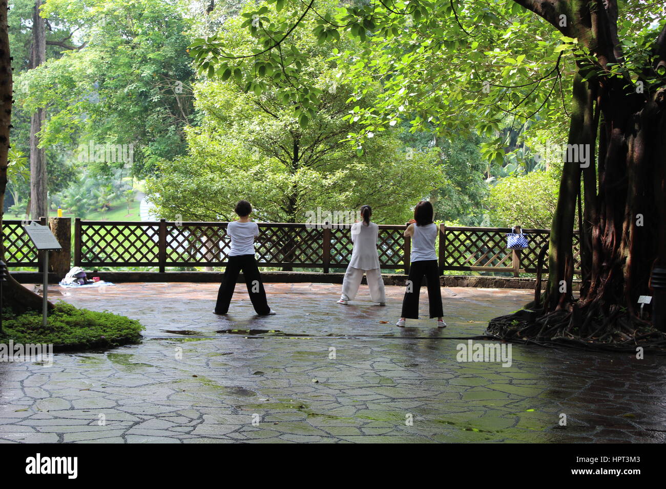 Three people practising tai chi in Singapore Botanic Gardens Stock