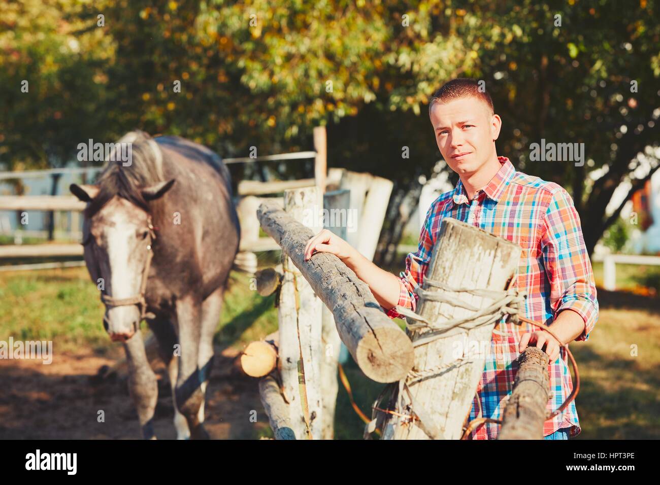 Young man and horse in countryside farm in summer day. Stock Photo